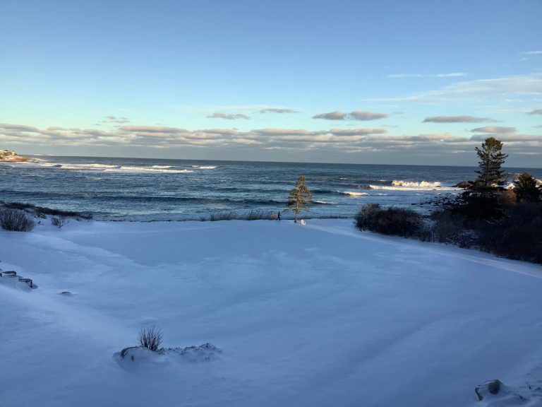 06f8d174 fd92 4dd9 b8f7 9b234f02c216 orig 768x576