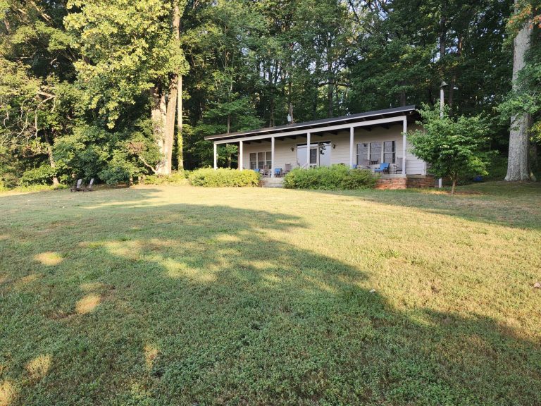 20240801 074711 2048x1536 1 768x576