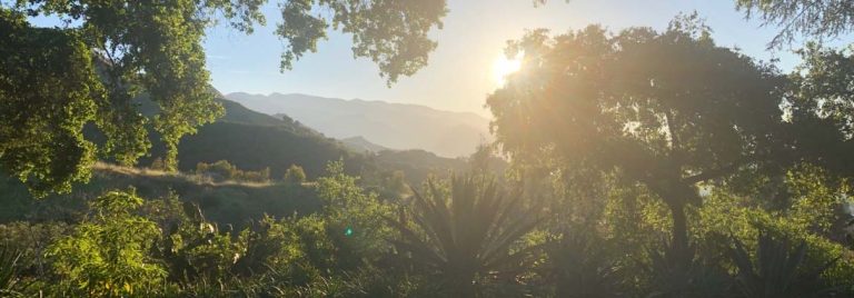 Prana Retreat1 768x268