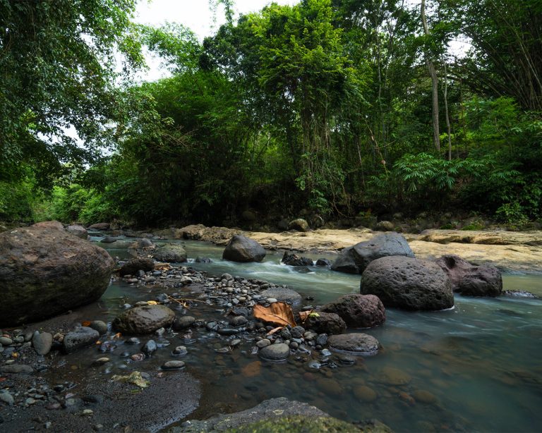 2023 02 15 1 768x614