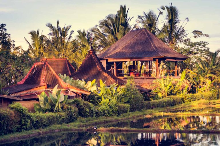 DRAGONFLY BALI YOGA HOUSE 11 768x512