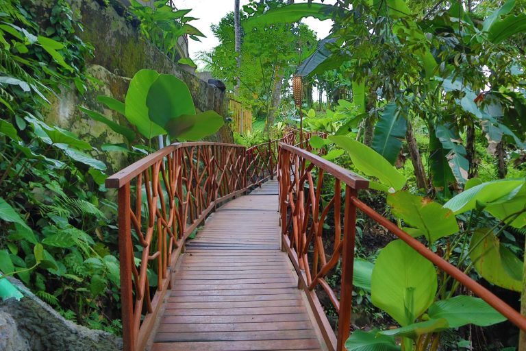 2024 07 13 1 768x512